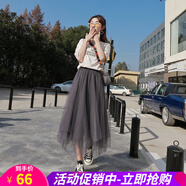 網(wǎng)紗半身裙女春夏秋冬季中長(zhǎng)款學(xué)生大擺紗紗裙新款百褶中長(zhǎng)裙仙女裙子 灰色 均碼
