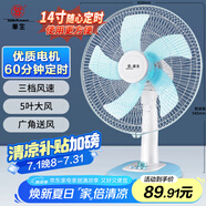 華生（Wahson）電風(fēng)扇/臺(tái)扇/落地扇/低音風(fēng)扇/大風(fēng)量家用定時(shí)電扇空調(diào)伴侶交流定頻電風(fēng)扇 FT-A1401 