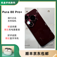 華為Pura 80 Pro+ 一英寸高動(dòng)態(tài)主攝 個(gè)性色卡AI輔助構(gòu)圖 Pura80 Pro+ 釉紅 16GB+1TB 官方標(biāo)配+補(bǔ)貼機(jī)+全國(guó)聯(lián)保