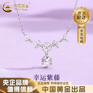中國黃金（CHINA GOLD）藍(lán)桉與鳥銀項(xiàng)鏈女生輕奢月光石吊墜高級七夕情人節(jié)生日禮物送女友 足銀*紫藤花開項(xiàng)鏈【品牌禮盒】