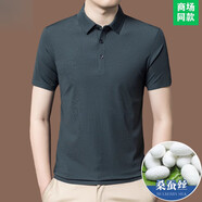 銀利郎感桑蠶絲短袖T恤男士夏季新款冰 絲男翻領(lǐng)POLO體恤衫 BY288款-豆綠 S 165/48【適合體重90-120斤】