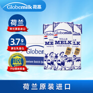 荷高（Globemilk）荷蘭原裝進(jìn)口3.7優(yōu)乳蛋白高鈣全脂純牛奶200ml*24兒童中秋送禮
