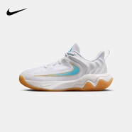 NIKE 耐克青少年籃球鞋 GIANNIS IMMORTALITY 4 輕盈透氣運動(dòng)鞋大童