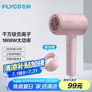 飛科（FLYCO）負(fù)離子電吹風(fēng)機(jī)家用大功率冷熱風(fēng)恒溫護(hù)發(fā)吹風(fēng)筒FH6291