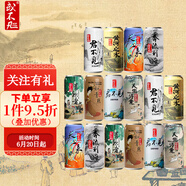 或不凡 國產(chǎn)精釀啤酒 漿進酒連字組合 黃河之水渾濁IPA 果泥 酸啤酒 8口味 500mL 16罐 組合裝 混搭