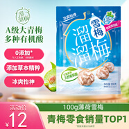 溜溜梅薄荷雪梅 孕婦兒童休閑零食小包裝零食即食果干100g/袋
