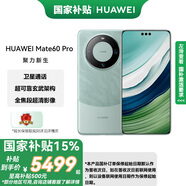 華為mate60pro 國家補貼500元 超可靠玄武架構(gòu) 華為鴻蒙旗艦智能手機 雅川青 12GB+512GB