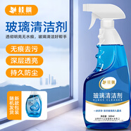 桂楓 玻璃水清潔劑擦玻璃神器衛浴水龍頭瓷磚去漬污垢清洗劑500ml*1瓶