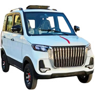 電動四輪盛昊雷邁金博福盛隆麗穎恩途本途紅旗款大燈中網(wǎng)尾燈玻璃 機蓋紅旗標