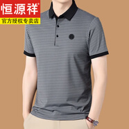 恒源祥高檔短袖t恤男休閑薄款條紋翻領(lǐng)半袖寬松POLO衫爸爸裝夏T 淺灰色【超舒爽】 XL 175/92A 建議130-145斤