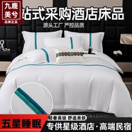 九鹿美兮床上四件套奢華五星酒店民宿床品套件高端全套純白色床單被 青藍【親膚舒適 高端大氣】 床單款 織帶款-2.0m四件套