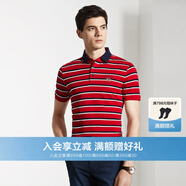 ARTAO/雅濤男裝夏季短袖T恤男純棉條紋商務翻領T恤 紅色039 50/L