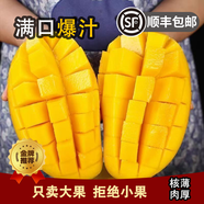 特大果超甜金煌芒 新鮮水果精品禮盒順豐包郵 【特大果】特級(jí)金煌芒凈果8斤裝 精品禮盒+順豐快遞