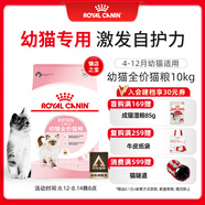 皇家幼貓貓糧 幼貓奶糕 K36 通用糧 4-12月 10KG