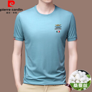 皮爾卡丹（pierre cardin）品牌高端桑蠶絲短袖t恤男裝夏季純色圓領(lǐng)冰真絲刺繡體恤上衣男裝 淺蘭 M 165碼