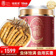 福東海 冬蟲夏草斷草20克 干斷蟲草蟲體飽滿 實惠裝老年人營養(yǎng)品送禮