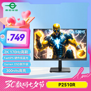 泰坦軍團(tuán)24.5英寸 2K 170Hz FastIPS快速液晶屏1msGTG HDR技術(shù)硬件低藍(lán)光 Game+游戲?qū)I(yè)電競顯示器 P2510R