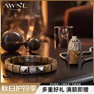 AWNL 【馬思唯同款】荷魯斯之眼項(xiàng)鏈男吊墜輕奢飾品送男友生日禮物 套裝-項(xiàng)鏈鈦鋼鏈+手鏈磁吸扣款 套裝-項(xiàng)鏈55cm+手鏈L碼