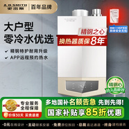 史密斯（A.O.SMITH）燃?xì)鉄崴?0升家電 國(guó)家補(bǔ)貼 零冷水智能控制防CO中毒 精鋼不銹鋼換熱器8年包換 大戶(hù)型MJSX 20L 【智能零冷水】