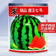 大禹懶漢西瓜種子苗特大適合南方早熟懶人8424麒麟瓜美都無籽水果蔬菜 安生精品甜王七號(hào)西瓜種子 50g