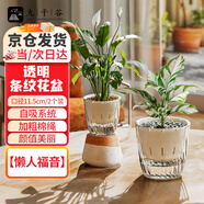 九千谷花盆高顏值透明懶人塑料花盆水培水養(yǎng)植物自吸水盆口徑11cm6032