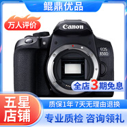佳能/Canon 500D 600D  700D 750D 760D 800D 二手單反相機(jī) 95新 95新 佳能850D 單機(jī)身 套機(jī)