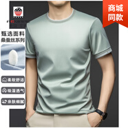 AEMAPE美國蘋果高端桑蠶絲短袖t恤夏季新款男士圓領(lǐng)上衣休閑純色體恤 淺綠 L 175-建議125-140斤