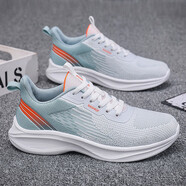 鴻星爾青少年運動(dòng)鞋男初中學(xué)生夏季專(zhuān)用跑步鞋男款超輕減震跑鞋透氣男鞋 白湖蘭 38