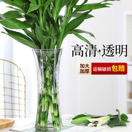 呈愛透明玻璃花瓶簡約加高貴竹百合水培綠蘿植物富花瓶客廳插花擺件 加高30cm六角（竹葉圖案） 高30厘米