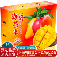 京地達(dá)海南現(xiàn)摘青皮澳芒凈重8斤禮盒裝約4-6個(gè)甜心芒果新鮮水果源頭直發(fā)