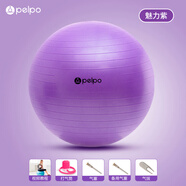 惠利得瑜伽球健身球兒童感統訓練瑜珈球大龍球加厚專(zhuān)用運動(dòng)器材 魅力紫【磨砂】（贈打氣筒+氣1 65cm cm(身高160-165cc