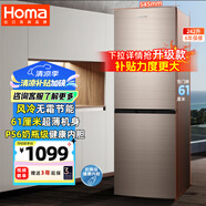 奧馬（Homa）242升風(fēng)冷無霜大容量雙開門小型電冰箱 兩門二門節(jié)能 小戶型家用租房辦公 家電國家補貼242WH