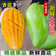 現(xiàn)貨進(jìn)口越南大青芒果新鮮當(dāng)季時(shí)令熱帶水果香甜大青金煌芒果整箱 【大果】單果約9兩 5斤/普通快遞