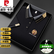 皮爾卡丹精品桑蠶絲男士t恤男抗皺免燙寬松休閑涼感親膚透氣簡(jiǎn)約體恤衫男 皮爾卡丹-黑色 L (115-135斤穿)