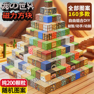 布魯奇我的世界磁力方塊兒童玩具3-6歲磁力積木大顆粒益智玩具男孩禮物