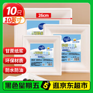 優(yōu)奧 一次性盤子方形10英寸（10只裝）可降解紙盤戶外露營燒烤盤免洗