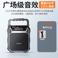 紐曼（Newmine）廣場(chǎng)舞音響藍牙小音箱大音量便攜式家用戶(hù)外無(wú)線(xiàn)k歌重低音炮 入門(mén)款