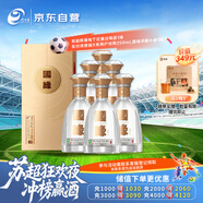 今世緣 國緣對開(kāi) 柔雅型白酒 42度 500ml*6瓶 整箱裝 