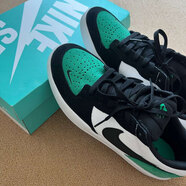 耐克（NIKE）復古板鞋男鞋2025秋冬季新款SB FORCE 58滑板運動(dòng)低幫輕便休閑鞋 DV5477-101黑白綠 偏小半碼 42.5