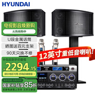 HYUNDAI現(xiàn)代家庭影院ktv音響套裝家用k歌電腦電視客廳卡拉ok全套會議室卡包店鋪專業(yè)功放音箱設備 【尊享版】12吋音響套裝
