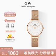 丹尼爾惠靈頓（DanielWellington）DW手表女 簡約歐美表鋼帶石英女士手表七夕禮物送女友DW00100219