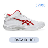 亞瑟士（asics）GEL-HOOP V17 V17S緩震實(shí)戰籃球鞋輕量 1063A101-101【V17 S】新色 39.5 250mm