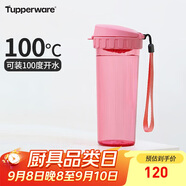 特百惠（Tupperware）茶韻500ML塑料杯男女士學(xué)生夏季運(yùn)動(dòng)水杯子戶(hù)外便攜大容量 柔蜜粉