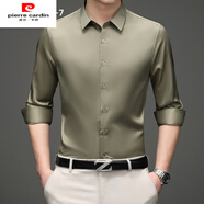 皮爾卡丹（pierre cardin）純色襯衫男免燙彈力透氣商務(wù)休閑韓版修身職業(yè)裝白襯衣男長(zhǎng)袖 豆蔻綠GC21-7 38 (100-115斤)
