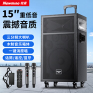 紐曼（Newmine）N551 15寸廣場(chǎng)舞音響戶外移動(dòng)便攜式藍(lán)牙音箱重低音帶麥克風(fēng)大功率家用高音質(zhì)吉他樂器音箱
