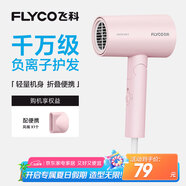 飛科（FLYCO）負離子電吹風機家用速干便攜大風力冷熱風吹風筒FH6278