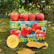 正宗新疆阿克蘇冰糖心蘋(píng)果當季應季新鮮時(shí)令孕婦水果脆甜多汁蘋(píng)果 75mm-80mm 5斤中果家庭裝約13枚