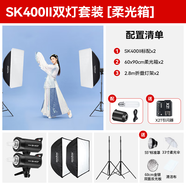 神牛（Godox） 攝影燈sk400二代閃光燈影室閃光燈服裝人像拍照攝影棚套裝影樓服裝攝影燈 SK400II雙燈套裝-柔光箱*2-送引閃器套裝 官方標配