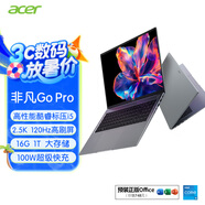 宏碁（acer）非凡Go Pro 16英寸輕薄本 13代酷睿2.5K 120Hz 辦公本筆記本電腦學(xué)生 (13代酷睿i5 16G 1T)灰