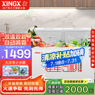 星星（XINGX）雙溫冰柜商用家用冷藏冷凍冰箱雙箱雙溫冷柜水果蔬菜保鮮柜鮮肉冷凍柜茶葉柜 BCD-305G-E 305L 大冷凍小冷藏